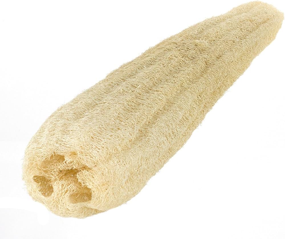 Step-by-Step Guide: How to Use Raw Loofah Properly