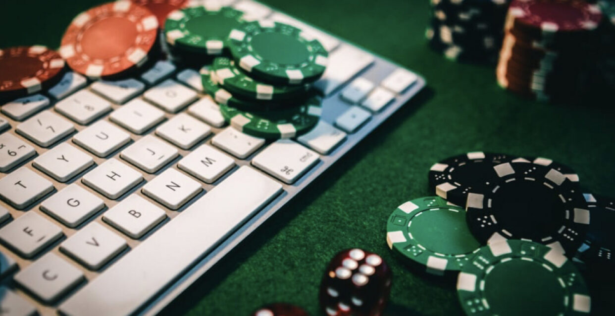 Top Sports Betting Apps in South Carolina: Features and Insights