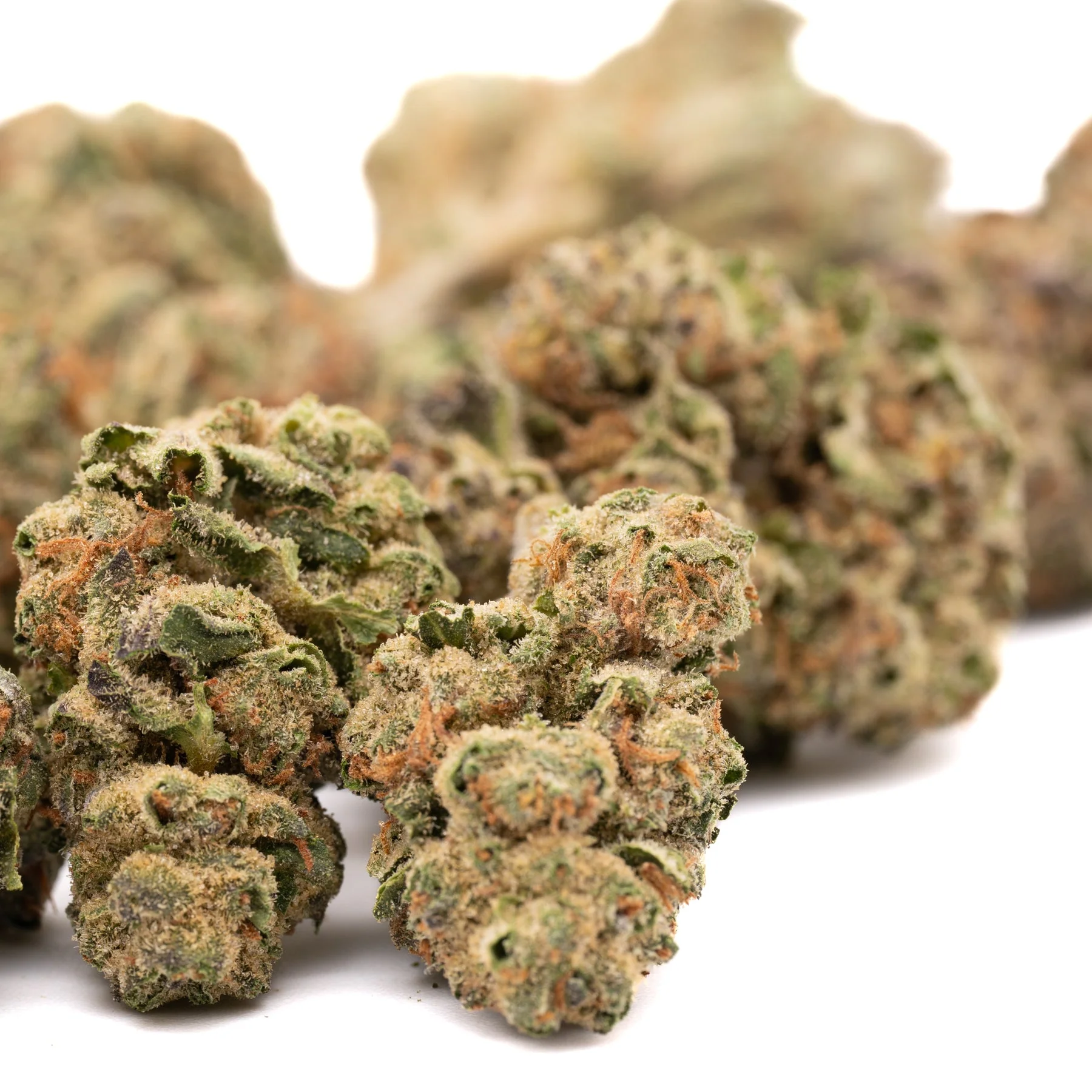 Miami runtz strain: Best Ways to Enjoy This Premium Flower